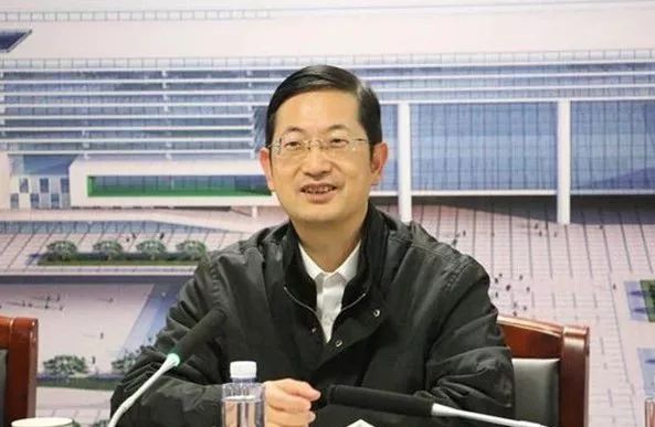 杭州市副市長名單最新全面指南