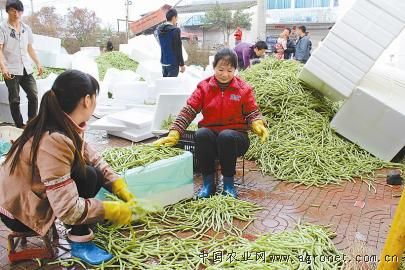 草長鶯飛 第3頁