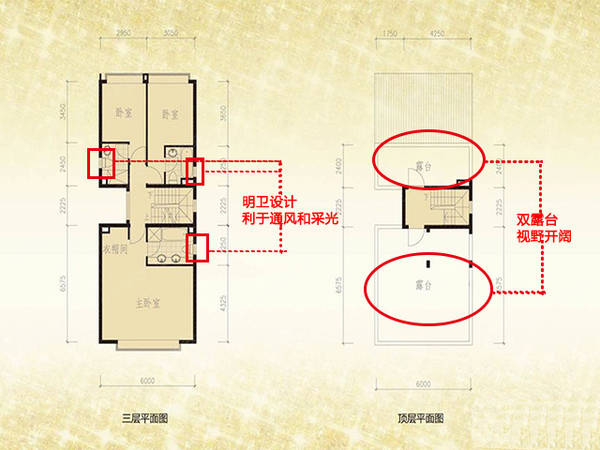 新奧門特免費資料,快速解答方案設(shè)計_LVD9.967知曉版