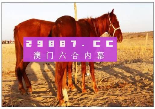 新奧門4949正版大全大眾網(wǎng),即時解答解析分析_CNA9.899夢想版