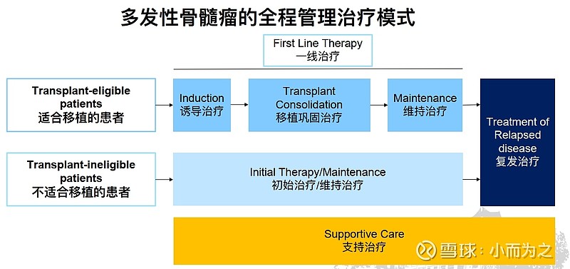 多發(fā)性骨髓瘤最新療法,多發(fā)性骨髓瘤最新療法，突破與希望