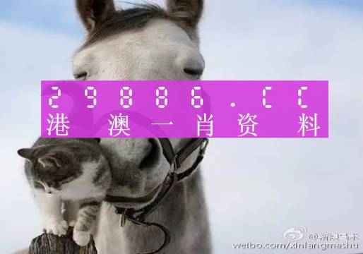 2024澳門買馬最準(zhǔn)網(wǎng)站,權(quán)威解析方法_親和版33.382