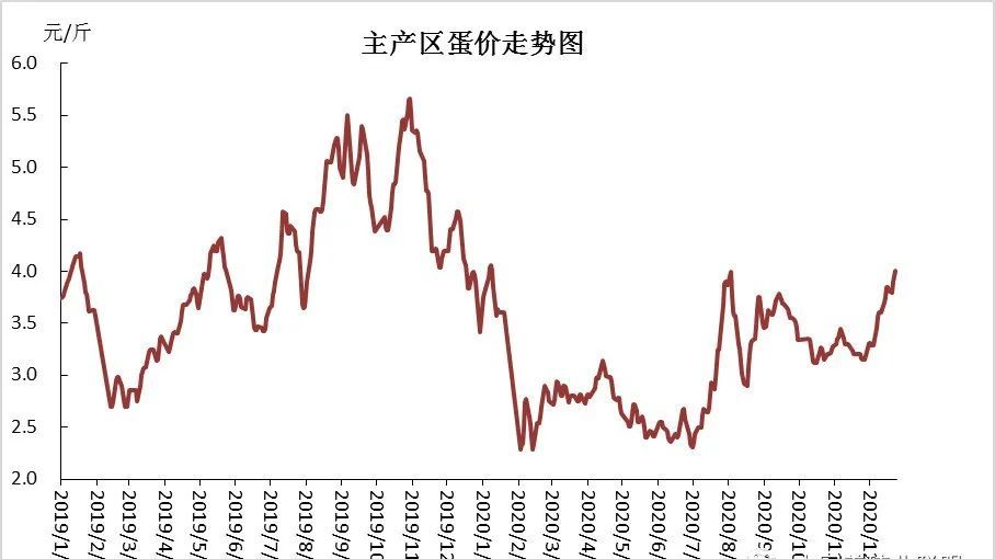 最新禽蛋價格走勢分析與預測——初學者與進階指南