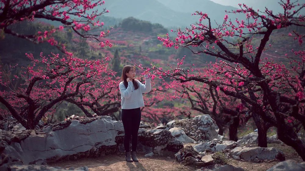 王小久踏遍美景，探尋內(nèi)心桃花源