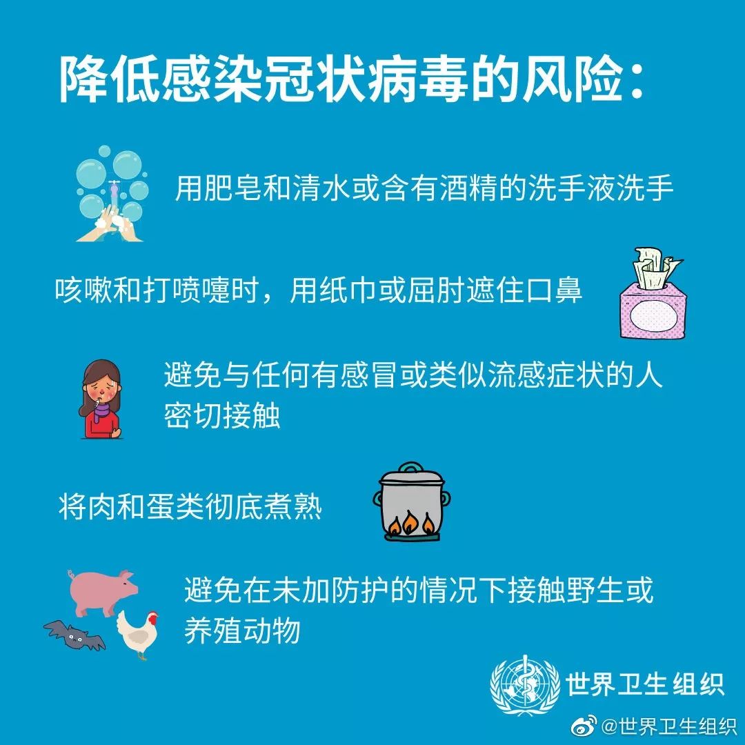 深入了解與應(yīng)對之策，最新病毒帕的威脅與防范策略