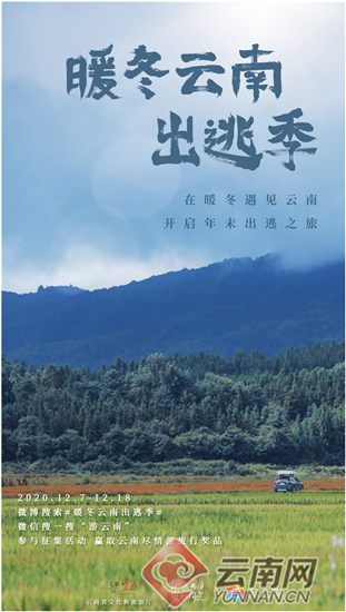 孫寧玲最新旅行篇章，探尋自然美景，尋覓內(nèi)心寧?kù)o