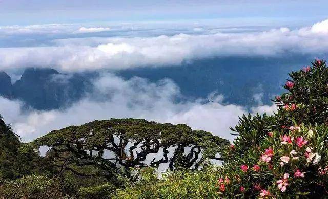 最新參公規(guī)范，自然美景的探索之旅