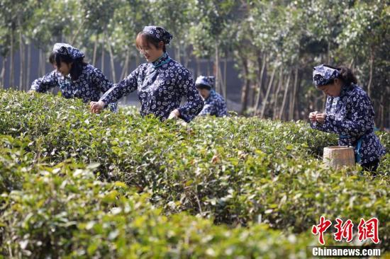 陵園行業(yè)上市探索與挑戰(zhàn)，陵園企業(yè)沖擊資本市場(chǎng)之路