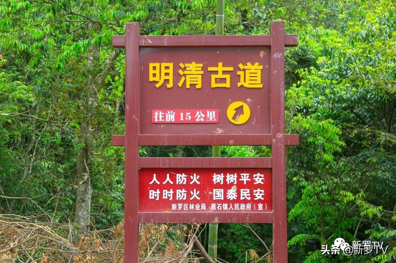 蘋果筆記本價格概覽，啟程探索自然，尋找內(nèi)心平和的旅程