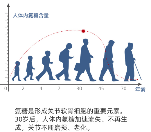 氨糖價格,氨糖價格，深入了解與明智選擇