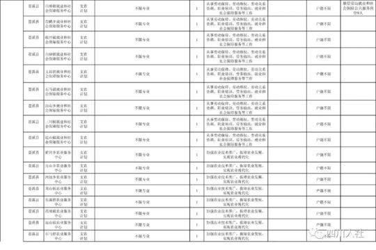 三支一扶政策最新動態(tài)解讀與探討