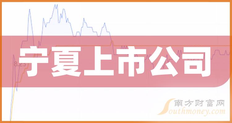 寧夏上市公司名單揭秘，聚焦資本市場(chǎng)龍頭企業(yè)