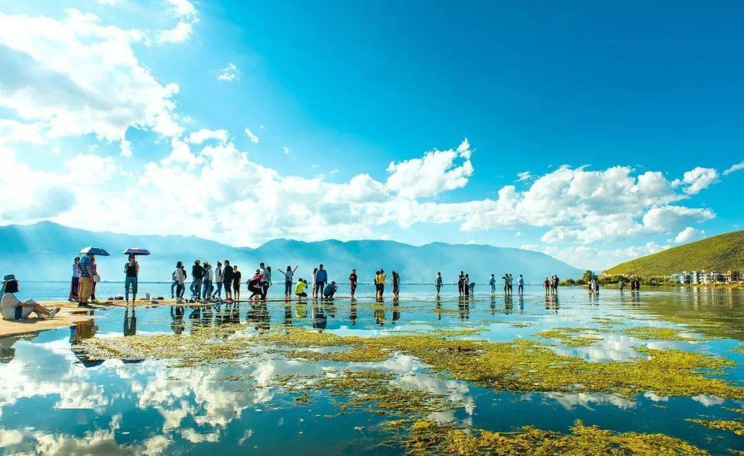 電腦價格與自然的對話，一場關于電腦與自然美景的旅行對話之旅