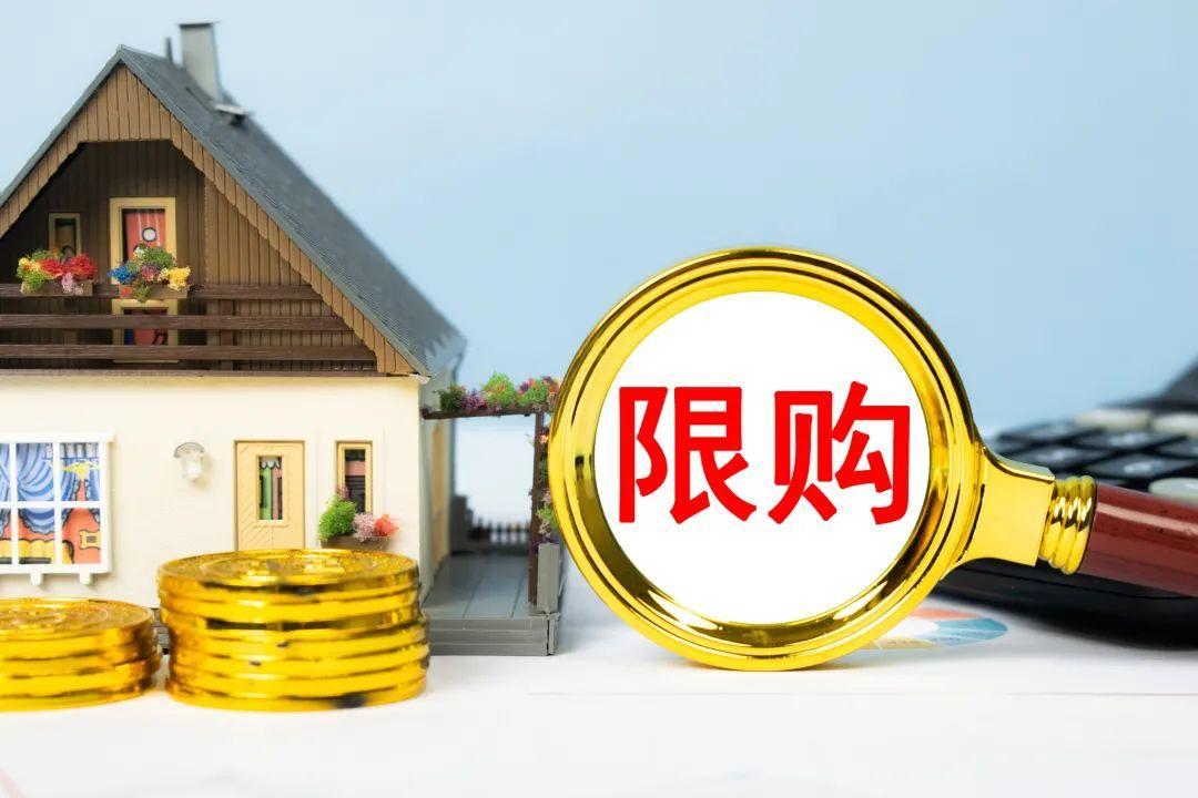 上海房產(chǎn)限購政策最新解讀，小家庭置業(yè)奇遇與房產(chǎn)市場調(diào)控分析