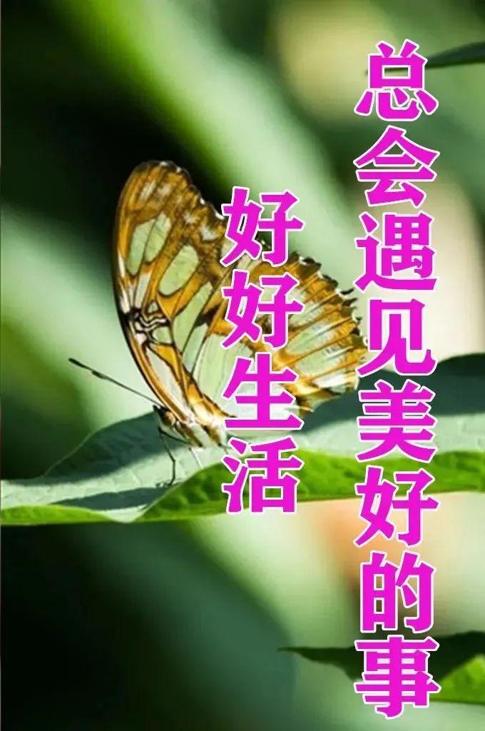 當(dāng)當(dāng)網(wǎng)上市之路，友情、陪伴與期待的篇章