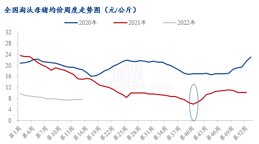 醴陵生豬行情深度分析