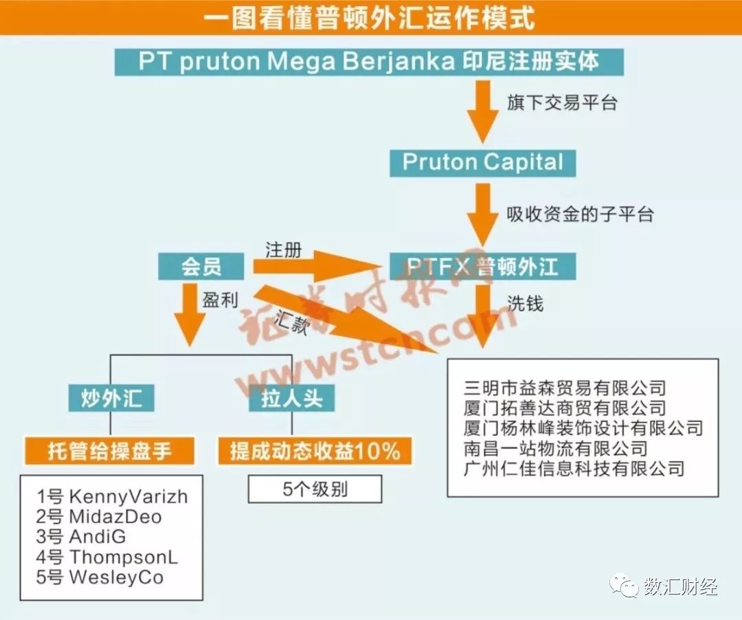 最新外匯案件詳解，操作指南與進(jìn)階之路從入門到精通