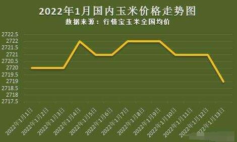 玉米價格最新行情2023年趨勢及日常歡樂生活