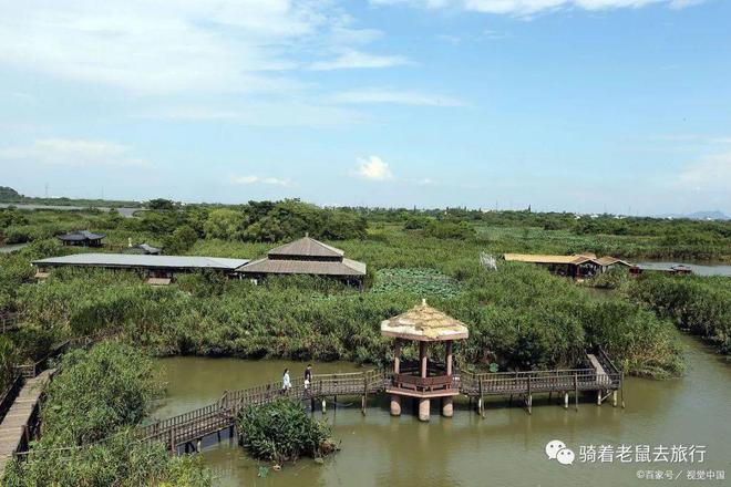 恒泰春天最新資訊，探索自然美景之旅，尋找內(nèi)心平和的旅程