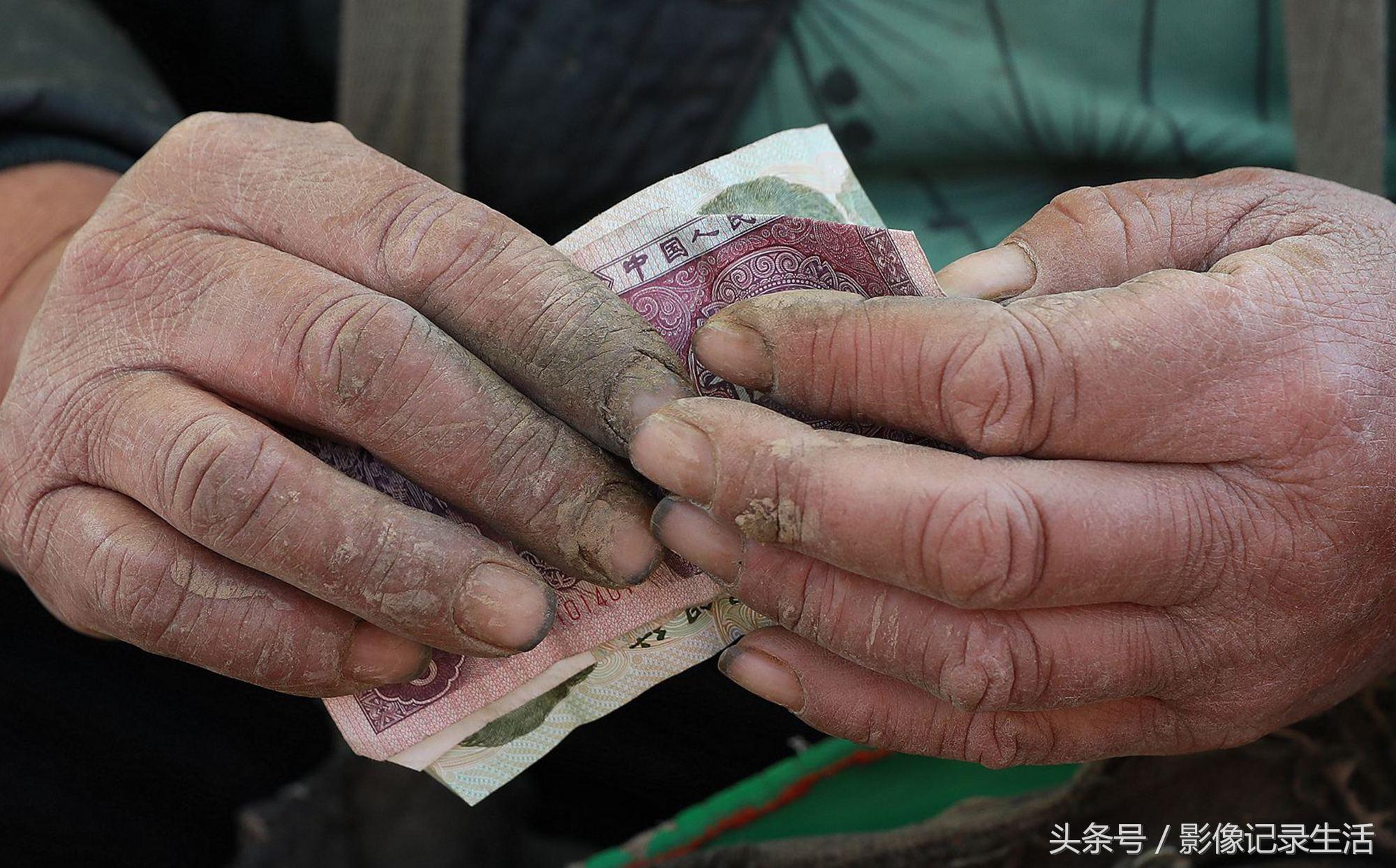 甘藍(lán)今日價(jià)格行情分析與趨勢(shì)預(yù)測(cè)