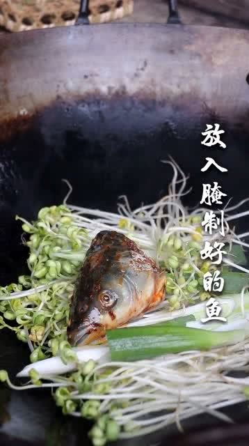 最新魚豆短視頻，探索與發(fā)現(xiàn)的時尚舞臺