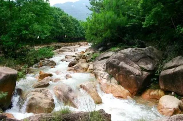 來的都是客演員表揭秘，小巷獨特風(fēng)味探尋之旅