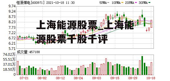 上海能源股票行情深度解析，能源之韻與美食瑰寶的巷弄探索