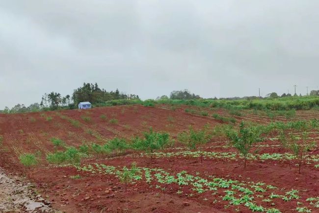 西泗上村新動態(tài)，變化中的村莊，學(xué)習(xí)帶來的自信與成就感