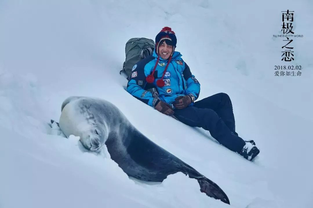 冬季暖心電影推薦，踏雪尋心之旅