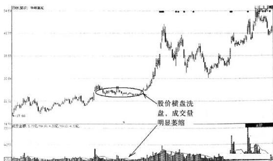 氨綸行情深度解析，市場走勢與專業(yè)解讀